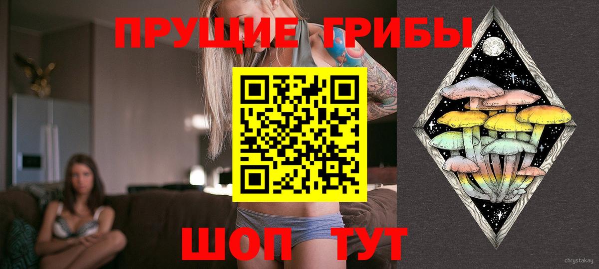 Кемерово  Псилоцибиновые грибы мухоморы  Галлюциногенные грибы MAGIC MUSHROOMS  Вход с VPN 